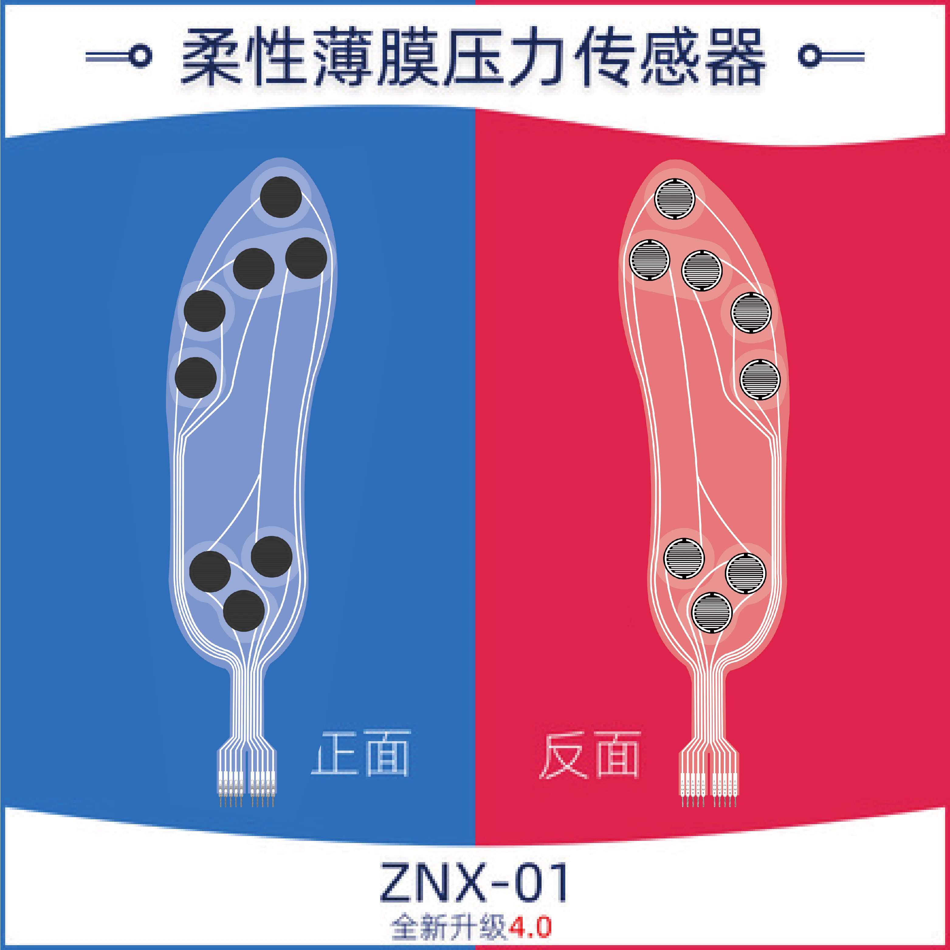 Flexible Thin Film Pressure Se - مراجعة Smart Insole Pressure وسعره